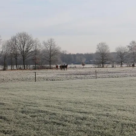 Tatil Evi Cosy In With Verandah Maarheeze
