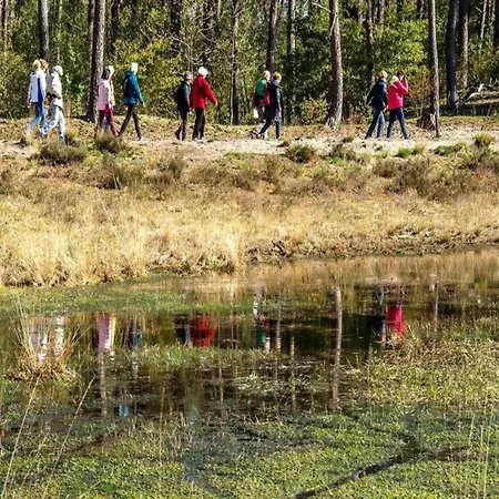 Vakantiehuis Cosy In With Verandah *
