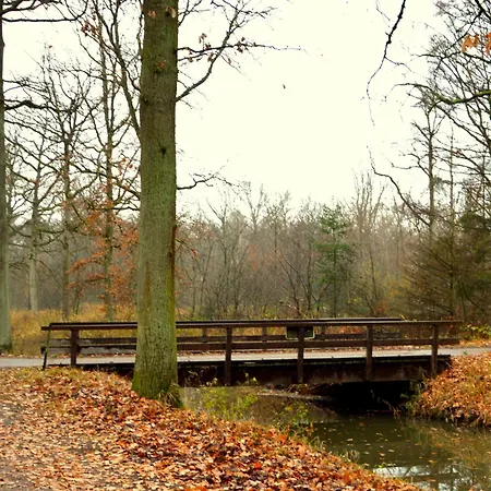 Cosy In With Verandah Vakantiehuis Maarheeze