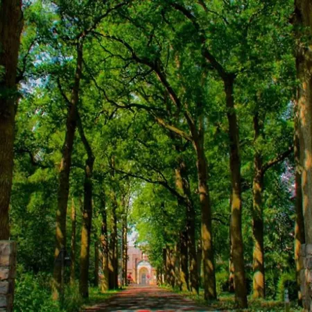 Cosy In With Verandah Maarheeze